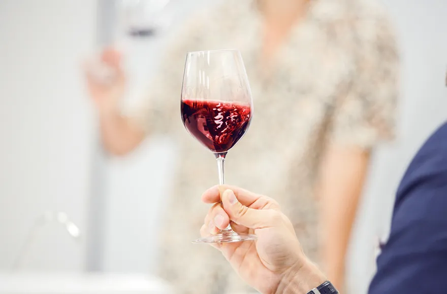 Weinseminar für Kenner Wien