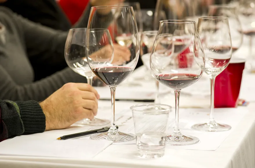 Weinseminar für Kenner Wien