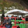 Weinseminar in Zeilitzheim (Rundfahrt & Verkostung)