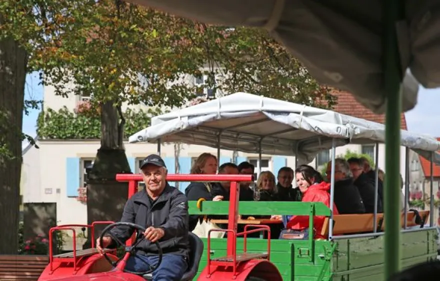 Weinseminar in Zeilitzheim (Rundfahrt & Verkostung)