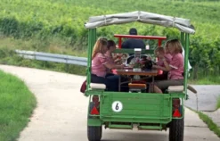 Weinseminar in Zeilitzheim (Rundfahrt & Verkostung)