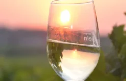 Weinseminar in Zeilitzheim (Rundfahrt & Verkostung)