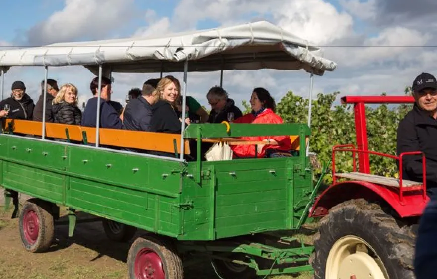 Weinseminar in Zeilitzheim (Rundfahrt & Verkostung)