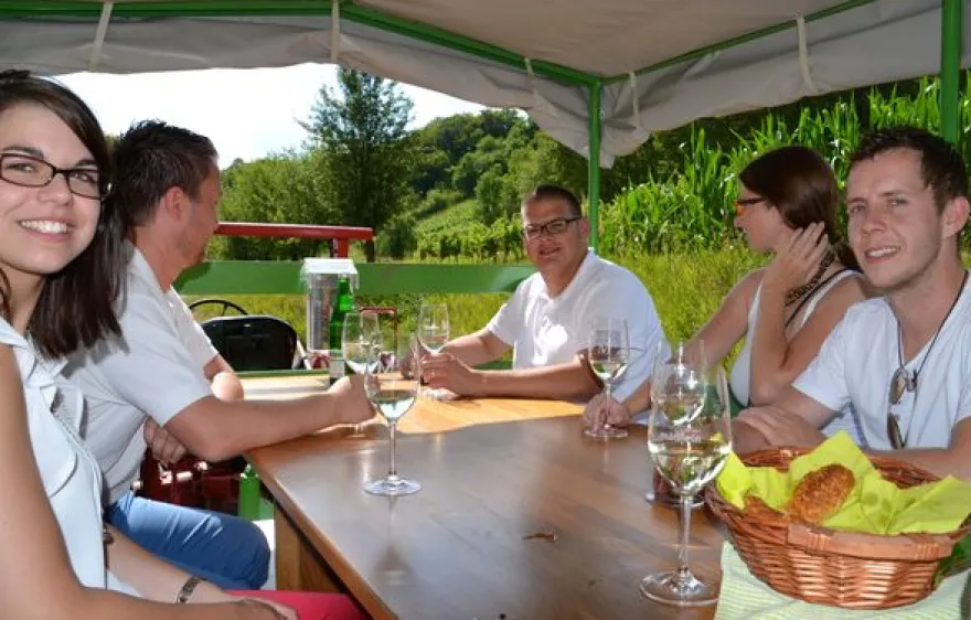 Weinseminar in Zeilitzheim (Rundfahrt & Verkostung)