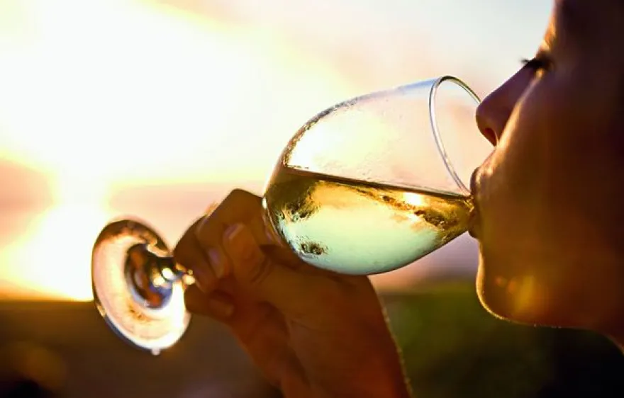 Wein Seminar Zürich