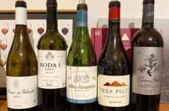 Wein Tasting Frankfurt am Main