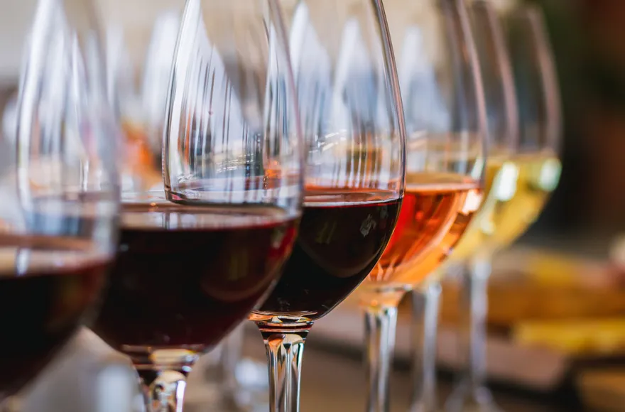 Weintasting Mainz