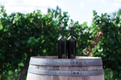 Wein Tasting Stuttgart Bad Cannstatt