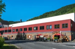 Weintour mit Weinverkostung Sankt Aldegund