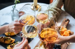 Wein und Käse Tasting Köln