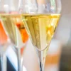 Wein-und Schaumweinseminar in der Villa Mumm Eltville