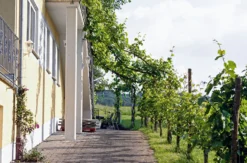 Weinverkostung Erden für 2