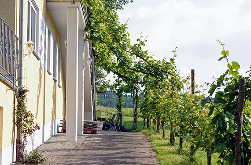 Weinverkostung Erden für 2