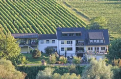 Weinverkostung Erden für 2