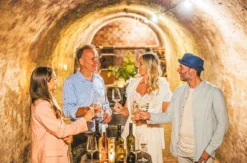 Weinverkostung mit Übernachtung im Weinviertel für 2