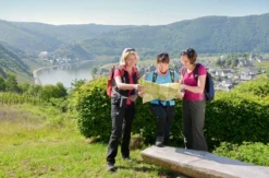 Weinwanderung Cochem