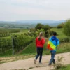 Weinwanderung Flörsheim-Dalsheim