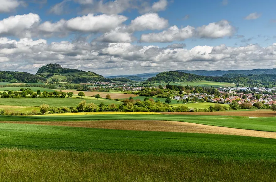 Weinwanderung im Hegau