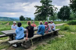 Weinwanderung Ingelheim am Rhein für 2 (2,5 Std.)