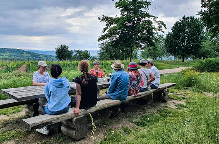 Weinwanderung Ingelheim am Rhein für 2 (2,5 Std.)