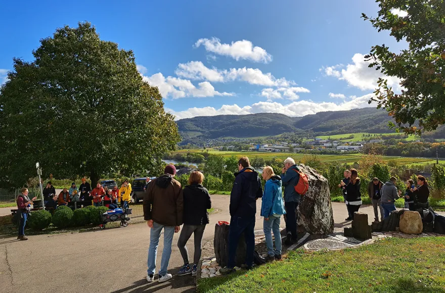 Weinwanderung Lieser an der Mosel