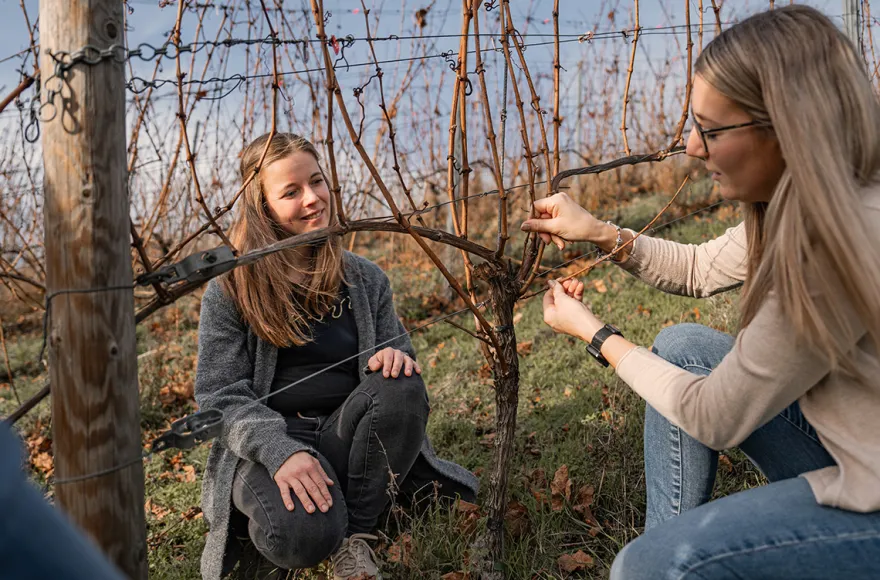 Weinwanderung Lieser an der Mosel