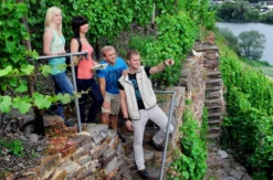 Weinwanderung und Schifffahrt auf der Mosel Bernkastel