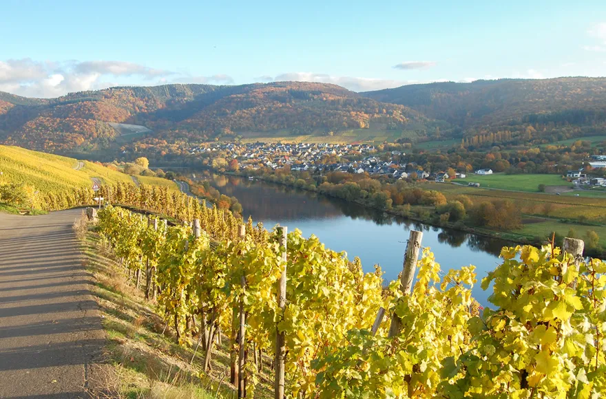 Weinwanderung und Schifffahrt auf der Mosel Cochem