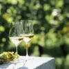 Weißweinwanderung Schriesheim
