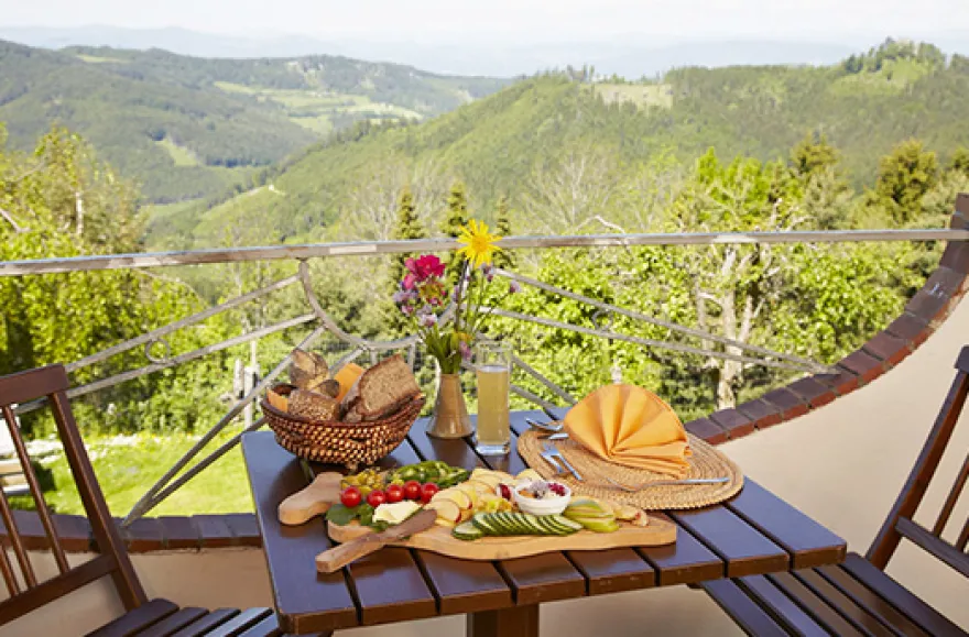 Wellness-Kurzurlaub im Bio-Hotel in Kärnten für 2