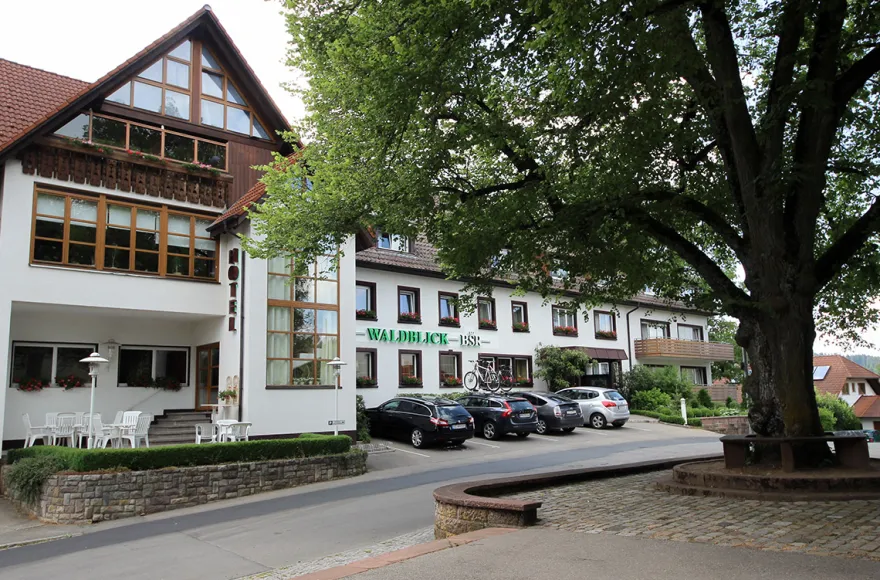 Wellnessreise Donaueschingen für 2 (2 Nächte)