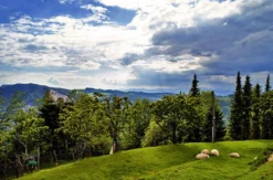 Wellnesstage im Bio-Hotel in Kärnten