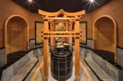 Wellnessurlaub Bad Brückenau für 2 (1 Nacht)
