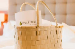 Wellnessurlaub Bad Rothenfelde für 2 (1 Nacht)