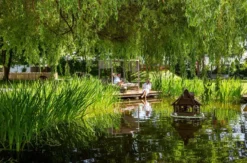 Wellnessurlaub Bad Wörishofen (2 Nächte)