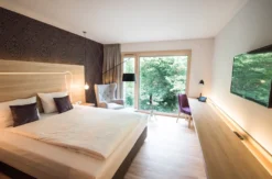 Wellnessurlaub Kirchheimbolanden für 2 (1 Nacht)