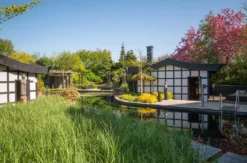 Wellnessurlaub Linstow für 2 (1 Nacht)
