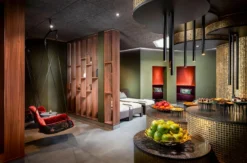 Wellnessurlaub Mainz für 2 (1 Nacht)