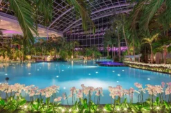 Wellnessurlaub mit Therme Sinsheim für 2 (2 Nächte)