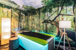 Wellnessurlaub Thüringer Wald für 2 (2 Nächte)