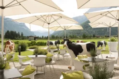 Wellnessurlaub Tirol für 2 (2 Nächte)