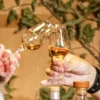 Whisky & Bier Tasting Wien