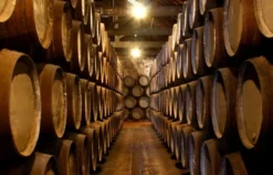 Whisky Käse Tasting Berlin
