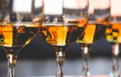 Whisky Käse Tasting München