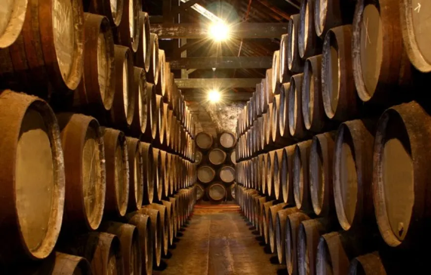 Whisky Käse Tasting München