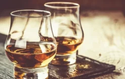 Whisky Käse Tasting Stuttgart