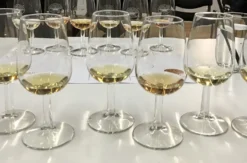 Whisky Seminar Graz (Schottischer Single Malt)
