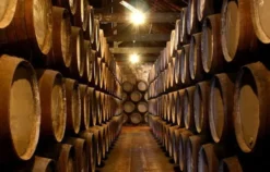 Whisky Tasting Frankfurt am Main (Einsteiger)
