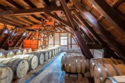 Whisky Tasting für Einsteiger Kappelrodeck