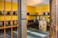 Whisky Tasting für Einsteiger Kappelrodeck